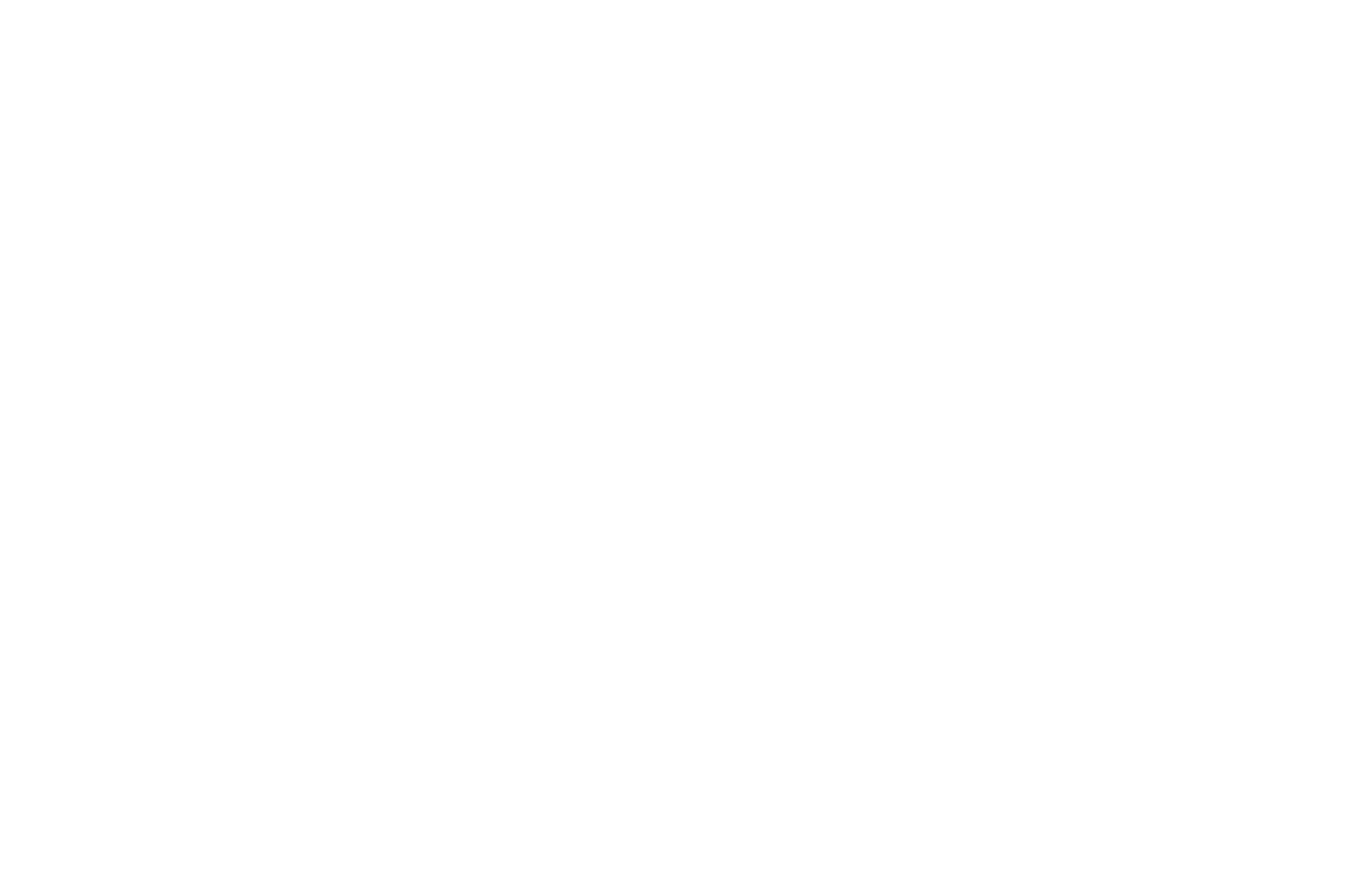 Mead Nutrition_Logo.png